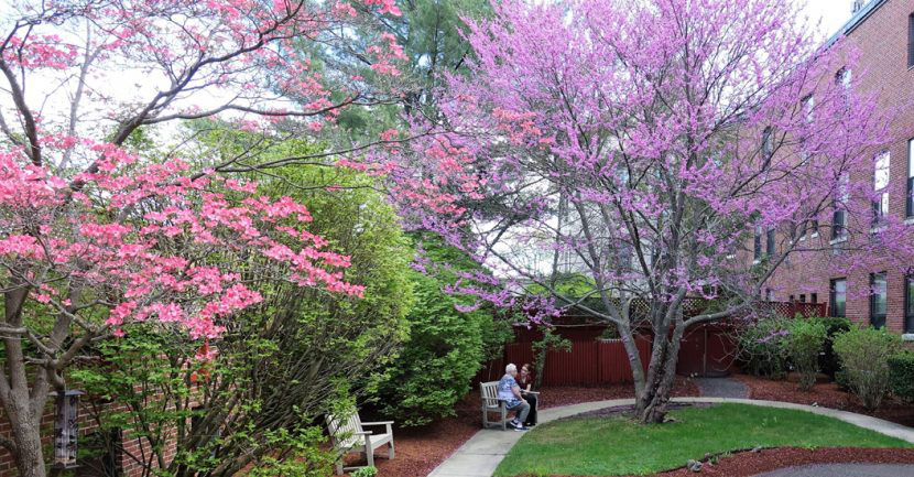 Courtyard Suites Blossoms